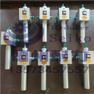 微型滾珠升降機(jī)產(chǎn)品