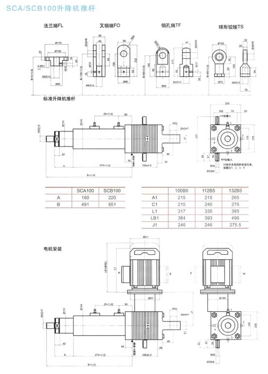 SC100系列升降機(jī)推桿